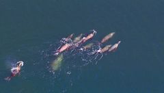 Ep. 1 - Il mare aperto