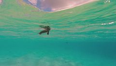 Ep. 2 - Le acque basse