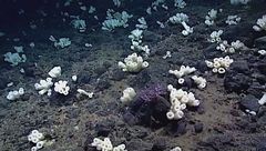 Ep. 4 - Le acque profonde