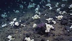 Ep. 4 - Le acque profonde