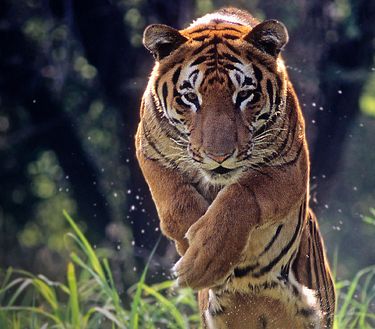 Ep. 2 - In fuga dalla morte