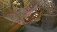 Ep. 4 - Sprezzanti del pericolo