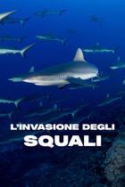 L'invasione degli squali