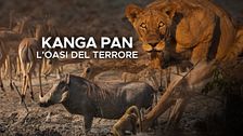 Kanga Pan: l'oasi del terrore