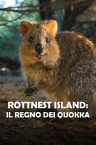 Prima puntata
