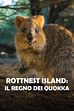 Prima puntata