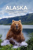 Alaska, la terra degli orsi