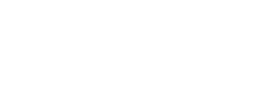Alaska, la terra degli orsi - Film Mediaset Infinity