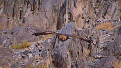 Ep. 1 - Furia fredda