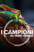Ep. 1 - Gli animali più veloci della terra