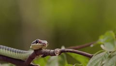 Ep. 4 - Gli assi dell'aria