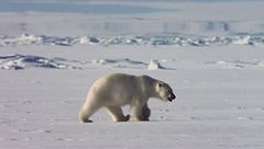 Ep. 5 - Macchine per uccidere