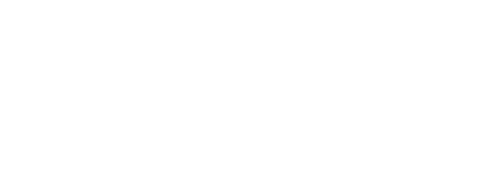 I caracal - Nottambuli e solitari - Film Mediaset Infinity