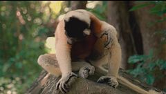 Ep. 1 - La terra di mezzo: Madagascar