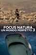 Ep. 4 - Le stagioni del Mar Rosso