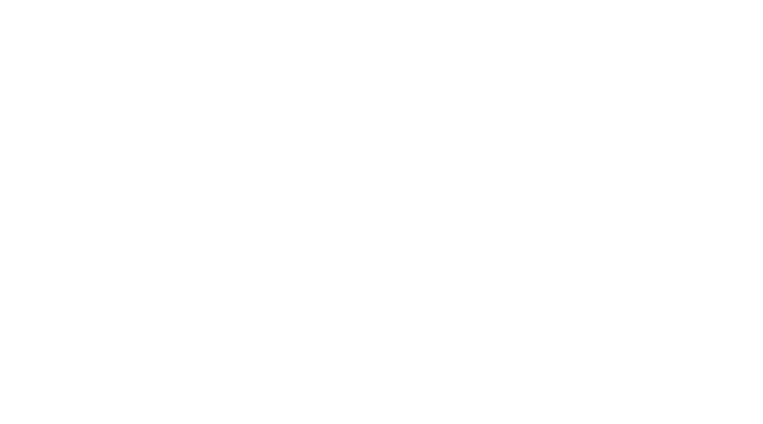 Miami wild - Film Mediaset Infinity