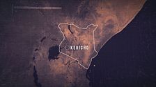 Ep. 7 - Cerchi delle fate e balene artiche