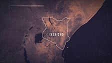 Ep. 7 - Cerchi delle fate e balene artiche