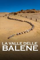 La valle delle balene