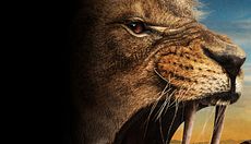 Prey - La grande caccia