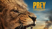Prey - La grande caccia