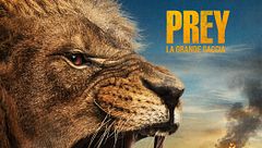 Prey - La grande caccia