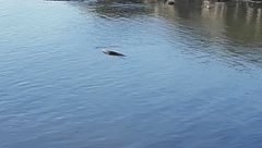 Quindicesima puntata