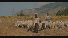 Trailer - Misericordia