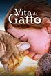 Trailer - Vita da gatto