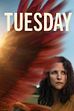 Trailer - Tuesday