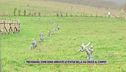 Trevignano, come sono arrivate le statue della Via Crucis al campo?