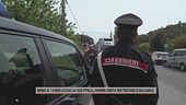 Bimbo di 13 mesi ucciso da due pitbull