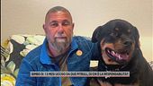 Bimbo di 13 mesi ucciso da due cani, parla l'esperto in educazione cinofila