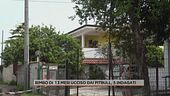 Bimbo di 13 mesi ucciso dai pitbull, 5 indagati