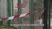 Bimbo ucciso dai pitbull, ieri il funerale e la fiaccolata