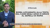 Bimba di due anni morsa alla testa dal cane degli amici