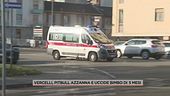 Vercelli, pitbull azzanna e uccide bimbo di 5 mesi