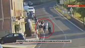 Laurino, pitbull scappa e azzanna bimbo di 9 anni