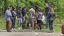 Pitbull aggressivi, aumentano gli attacchi