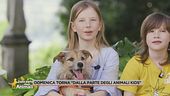 Domenica torna "Dalla parte degli animali kids"