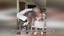 Massimiliano e l'amore per la figlia, condiviso col suo cane