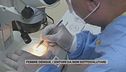 Febbre Dengue, i sintomi da non sottovalutare
