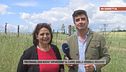 Trevignano, oggi nuova "apparizione"