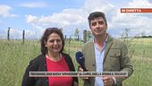 Trevignano, oggi nuova "apparizione"