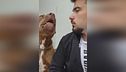 Cani aggressivi, la nuova moda social