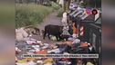 Emergenza cinghiali, i residenti di Roma Nord: "Impauriti e spaventati"