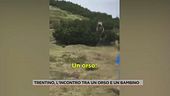 Trentino, l'incontro tra un orso e un bambino