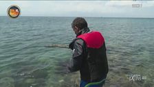Francesco Benigno pesca un pesce
