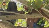 Artur e Khady si arrampicano sull'albero