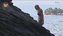 Matilde in cerca di frutti di mare